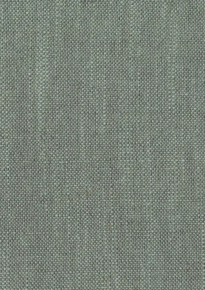 Eucalyptus